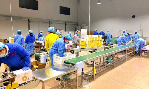 安圖經濟開發區醫藥食品產業園一季度開門紅 網絡信息技術開發驅動新增長