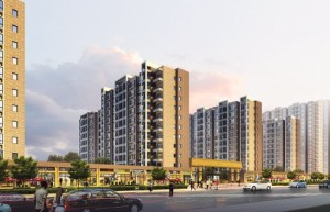 中國房地產業的演變與未來展望